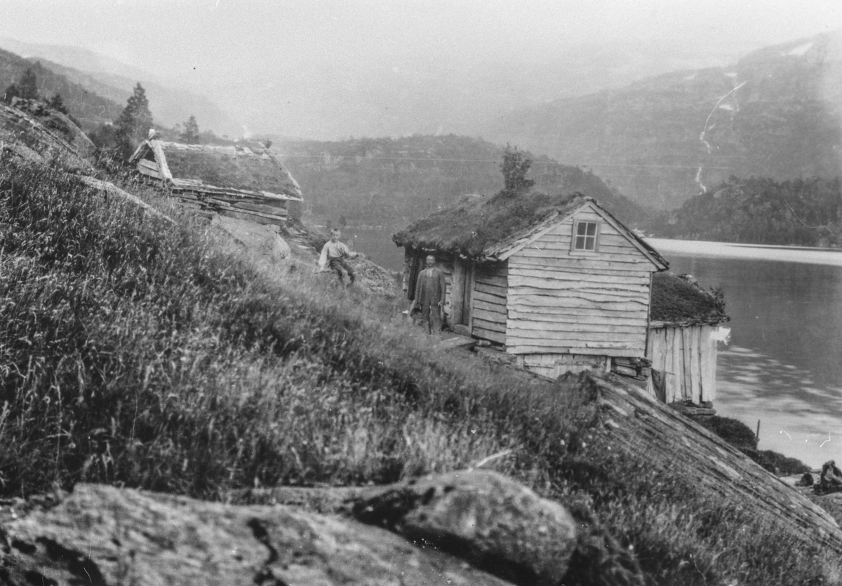 Kåre og Petter Bergli på Nyastøl ved Løyning