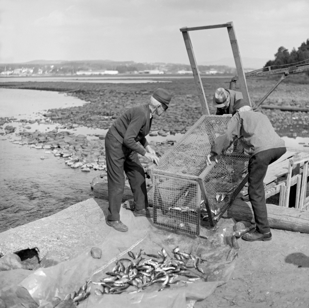 Håkon Berge, Birger Børresen og Martinus Hovie tømmer ei kupe (ruse) fra fiskebygningen garden Nedre Kåterud hadde på Fossbakken, like ved Svartelvas utløp i Åkersvika og Mjøsa.  På dette tidspunktet hadde fiskebygningen støpte sidevanger. Halvparten av elveløpet mellom disse vangene var stengt ved hjelp av ei dør, i den andre halvdelen var det plassert to rektangulære kuper, som var lagd av trelekter som var trukket med netting. Når fiskebygningen var i bruk sto kupene med åpningene på motstrøms side, og skulle altså fange fisk som var på oppgang i elva.  Under tømming ble enden med fangståpningen ble løftet noe opp, samtidig som man åpnet ei luke i motsatt ende, slik at fisken skled ned på et plastflak på bakken.