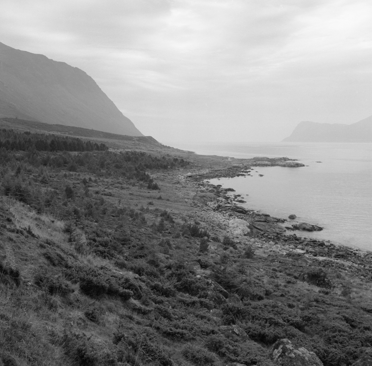 Prospektfotografier i serie av Kalvestad-marka på Sula. På noen av motiva er det spor etter tidligere bebyggelse.