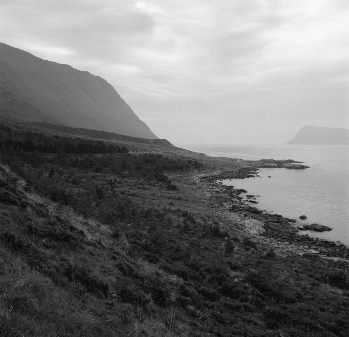 Prospektfotografier i serie av Kalvestad-marka på Sula. På noen av motiva er det spor etter tidligere bebyggelse.