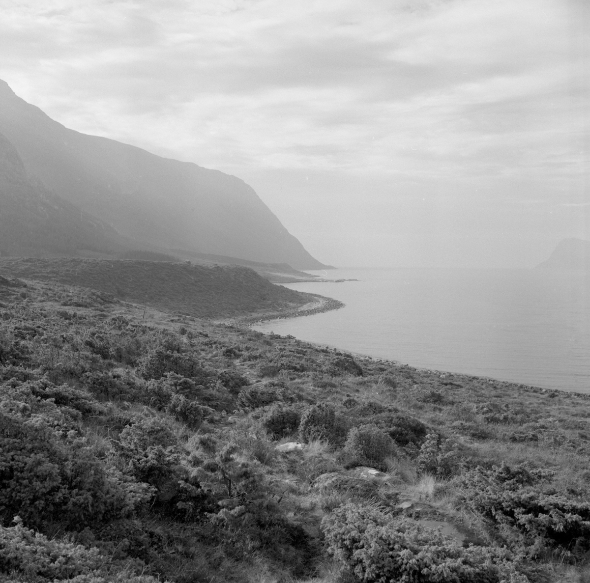 Prospektfotografier i serie av Kalvestad-marka på Sula. På noen av motiva er det spor etter tidligere bebyggelse.