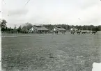 Kolbäck sn, Strömsholm, Utnäslöt.
Stallar, hästar.