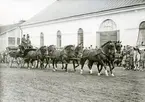 Kolbäck sn, Strömsholm.
Ridskolan, Hingstdepån.
Ridhuset, uppfört av sten år 1855.