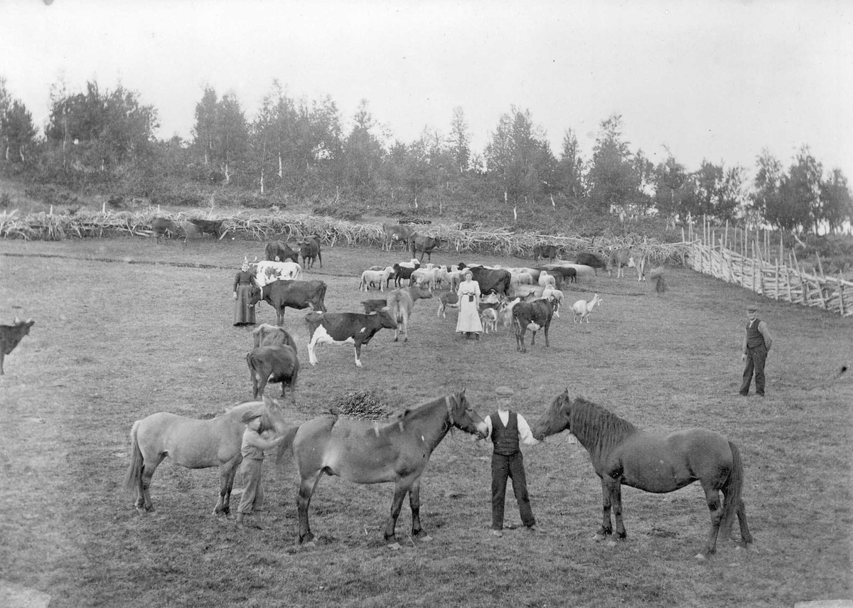 Eggengvollen, Langsetra, Vingelen