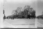 Reprofotografi av gatuscen från Paris, sannolikt från en uteservering i norra delen av Champs-Élysées.