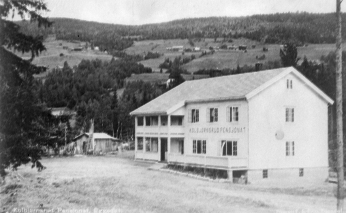 Diverse kopiplater fra inn- og utland for Landslaget for Norges Ungdomsherberger Trøndelag Krets (Kopi)