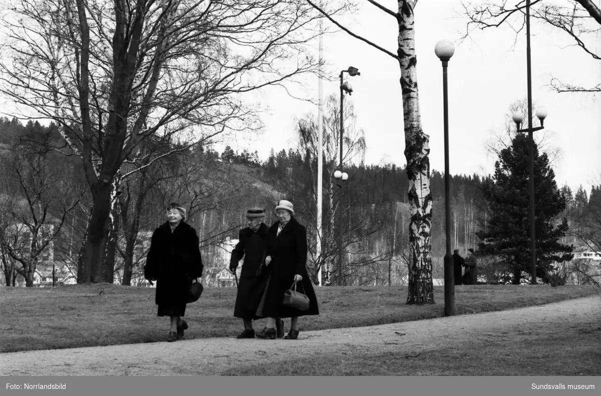 Långfredag "Fridens dag", tre äldre kvinnor på väg till kyrkan, två pojkar sitter vid vattnet och tittar på simmande svanar.