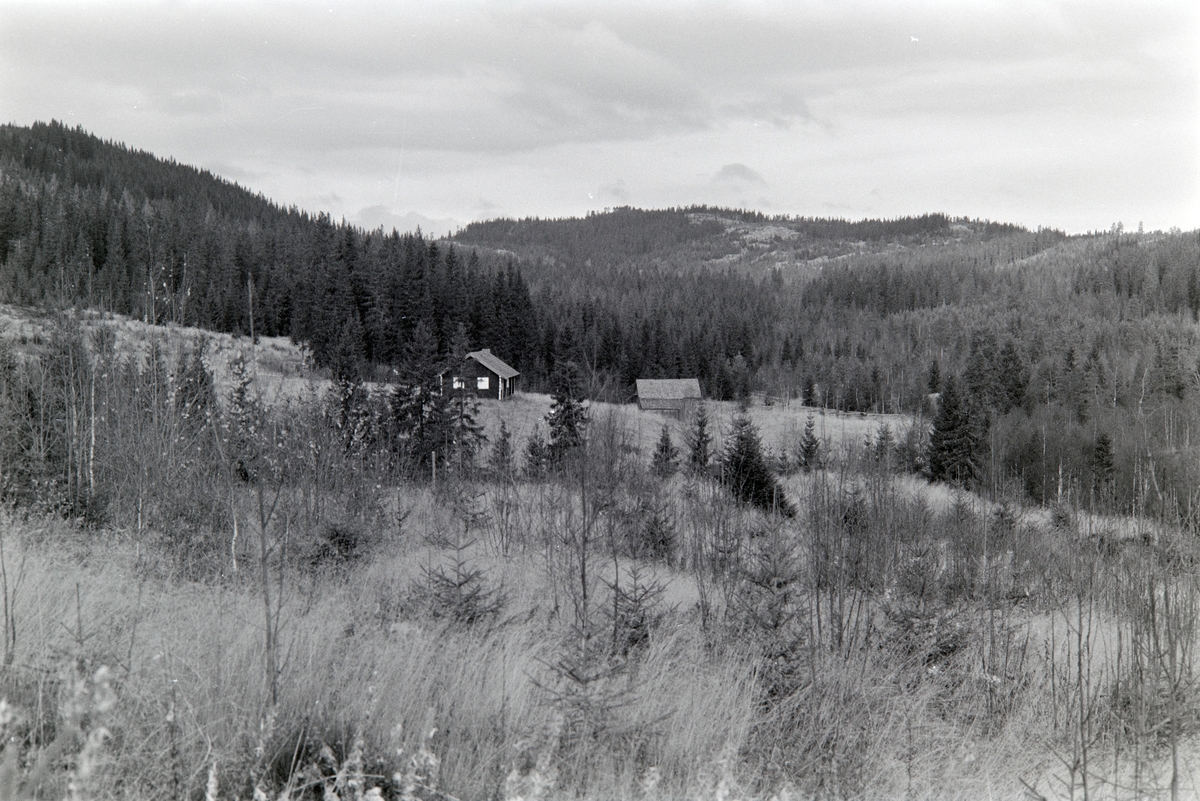 Knukdammen, Stange allmenning,