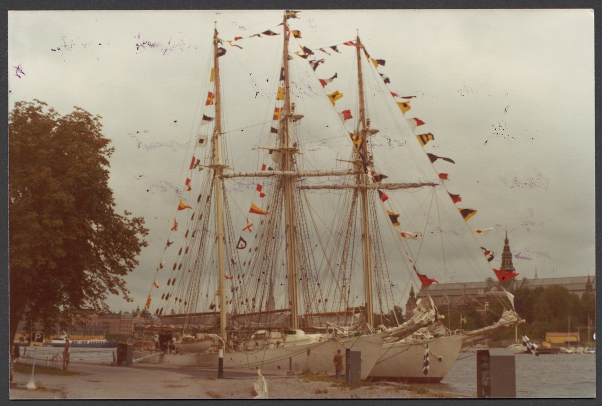 Marinens skolfartyg Gladan och Falken ligger till förtöjt vid kajen på Skeppsholmen i Stockholm hösten 1977. Fartygsporträtt från styrbordssidan med bärgade segel. Båda fartyg är flaggad.