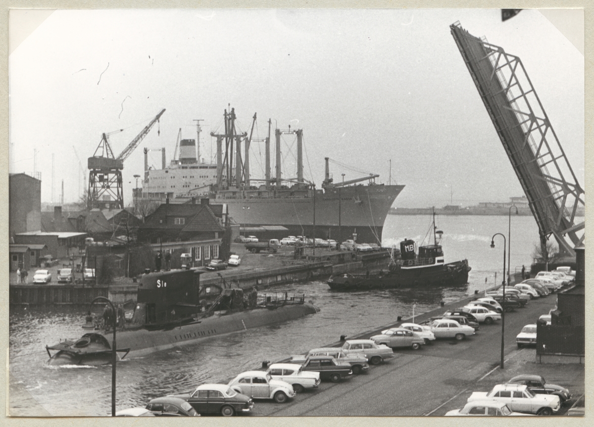 Sjölejonet bogseras under klaffbron till slututrustning.
1967-07