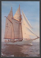 Amsterdam Sail 80