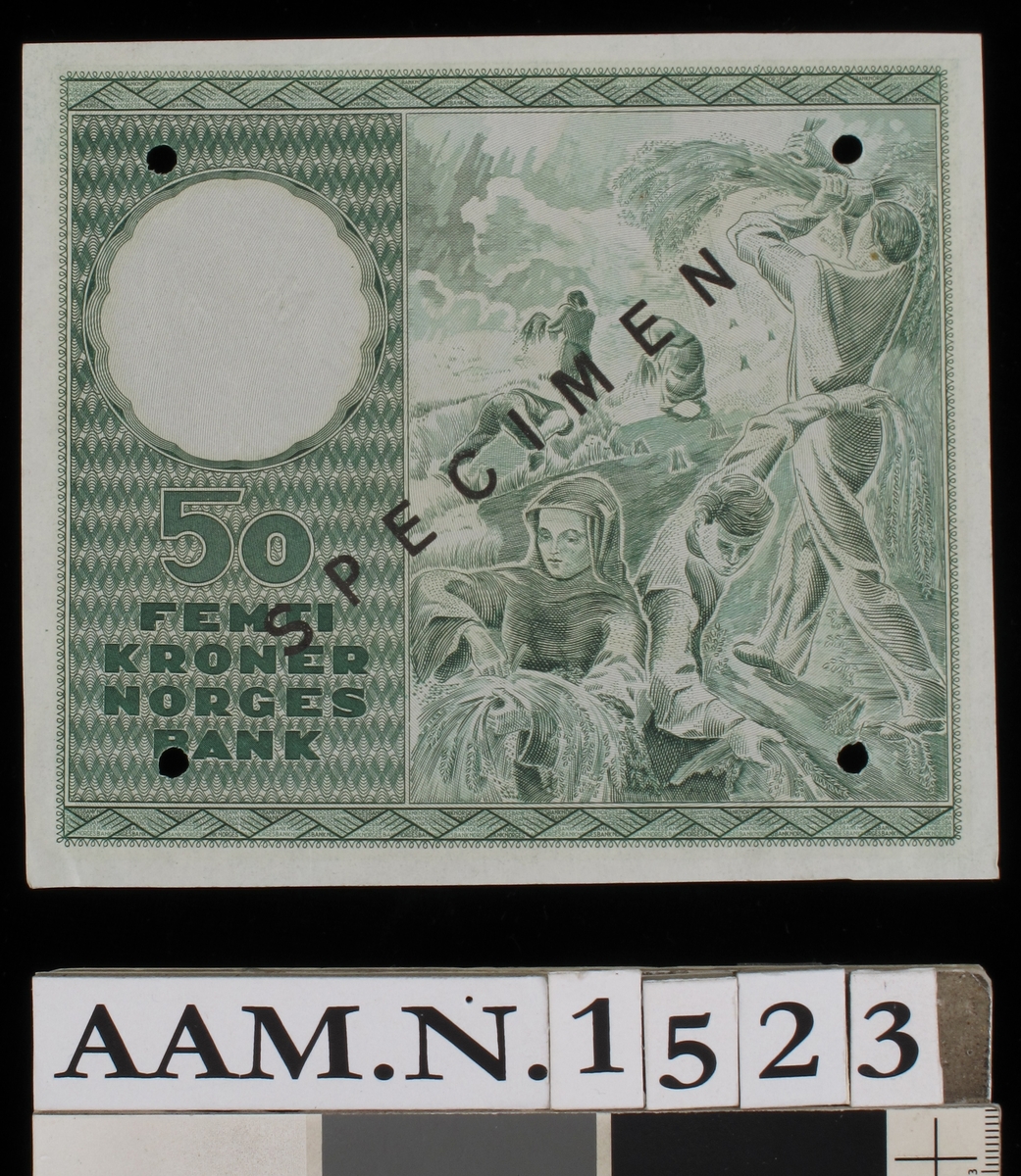 Seddel i grønn trykk. 
Advers side: Portrett av Bjørnstjerne Bjørnson, et kornnek, delvis skjult av riksvåpenet. 
Revers side: Gjengivelse av maleri med innhøsting  som hovedmotiv.