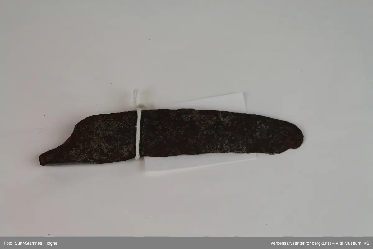 Teknikk: Den ene sigdformet med avrundet spiss og nokså jevnbrei, den andre smalner mot spissen som er helt markert.
Form: Både blad og tangerest uvanlig tykke
