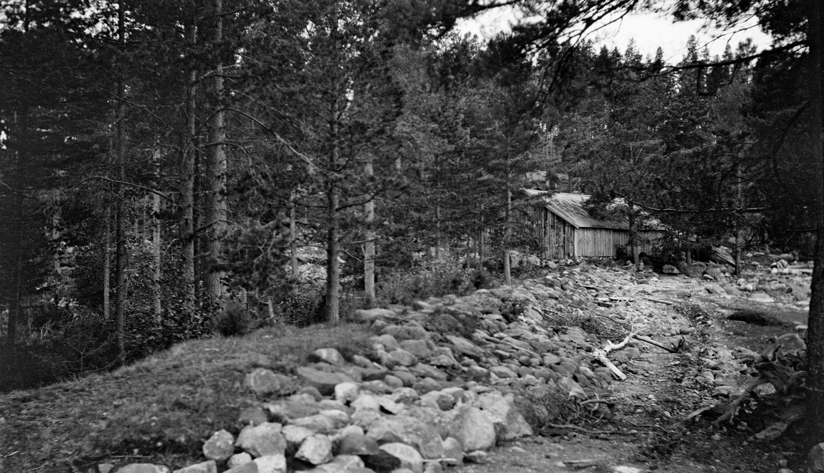 Den vestre damarmen på Haldammen i Våler (Hedmark), fotografert 10. august i 1920, altså i etterkant av det årets fløtingssesong.  Fotografiet viser en markert voll i terrenget, gras- og lyngbevokst øverst (til venstre) og med en mengde halvstor stein på det som antas å ha vært innsida (mot dammen).  På utsida sto det tett barskog.  Her var det også plassert et lavt, forholdsvis langt bordkledd hus med saltak. Fotografiet ble tatt i en fase da et betydelig ombyggingsarbeid var i ferd med å starte på Haldammen.  Målet var at dette arbeidet skulle være avsluttet til påfølgende fløtingssesong, våren 1921. 

Den nye Haldammen ble kraftigere og mer moderne enn den tidligere.  Nydammen gav mulighet for å regulere Halsjøen opptil to meter opp.  Dermed kunne fløtingsorganisasjonens damvoktere magasinere opptil 12 millioner kubikkmeter vann, hvilket var viktig i et fløtingsvassdrag med få andre kontrollerbare reservoarer av vesentlig størrelse. 