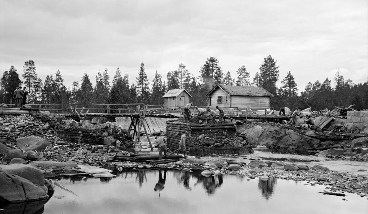 Rivingsarbeid med sikte på ombygging av Haldammen i Våler i Hedmark.  Fotografiet skal være tatt 10. august 1921.  På dette tidspunktet var dammen fullstendig nedtappet.  Det rant bare litt vann i djupålen mot damårningen.  Her var arbeidere i ferd med å rive steinfylte tømmerkister på begge sider av damløpet.  Særlig på kista på vestsida av løpet (noenlunde midt på bildeflata) var det mange i arbeid.   Lengre til høyre ser vi to karer som arbeider med et slagbor på en oppstikkende bergnabb.  Bakenfor er det bygd ei provisorisk trebru som kviler på bukker som tydelig skimtes i damåpningen.  På bakkekammen i bakgrunnen ligger ei laftet damkoie med et uthus i bordkledd bindingsverk. 

Rivinga av den eldre Haldammen ble utført med sikte på at det skulle reises en kraftigere og mer moderne dam på stedet.  Nydammen gav mulighet for å regulere Halsjøen opptil to meter opp.  Dermed kunne fløtingsorganisasjonens damvoktere magasinere opptil 12 millioner kubikkmeter vann, hvilket var viktig i et fløtingsvassdrag med få andre kontrollerbare reservoarer av vesentlig størrelse. 