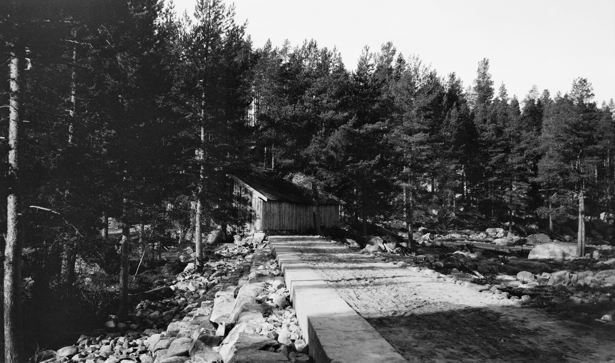 Den vestre damarm på Haldammen, fotografert etter ombygninga i 1920-21.  Fotografiet er tatt langsmed den nevnte konstruksjonen.  Bildet viser at det er støpt en kant øverst og ytterst på damkrona.  Skråningen utenfor (til venstre) er steinsatt.  På innsida er det påfylt jord og grus i cirka to meters bredde.  Dermed har det oppstått en bane, som etter sporene å dømme, må ha vært brukt som transportpassasje (veg).  Ved enden av damarmen skimtes et langt, forholdsvis lavt bordkledd hus med saltak.  Bakenfor dette igjen står furuskogen tett. 

Den nye Haldammen ble kraftigere og mer moderne enn den tidligere.  Nydammen gav mulighet for å regulere Halsjøen opptil to meter opp.  Dermed kunne fløtingsorganisasjonens damvoktere magasinere opptil 12 millioner kubikkmeter vann, hvilket var viktig i et fløtingsvassdrag med få andre kontrollerbare reservoarer av vesentlig størrelse.