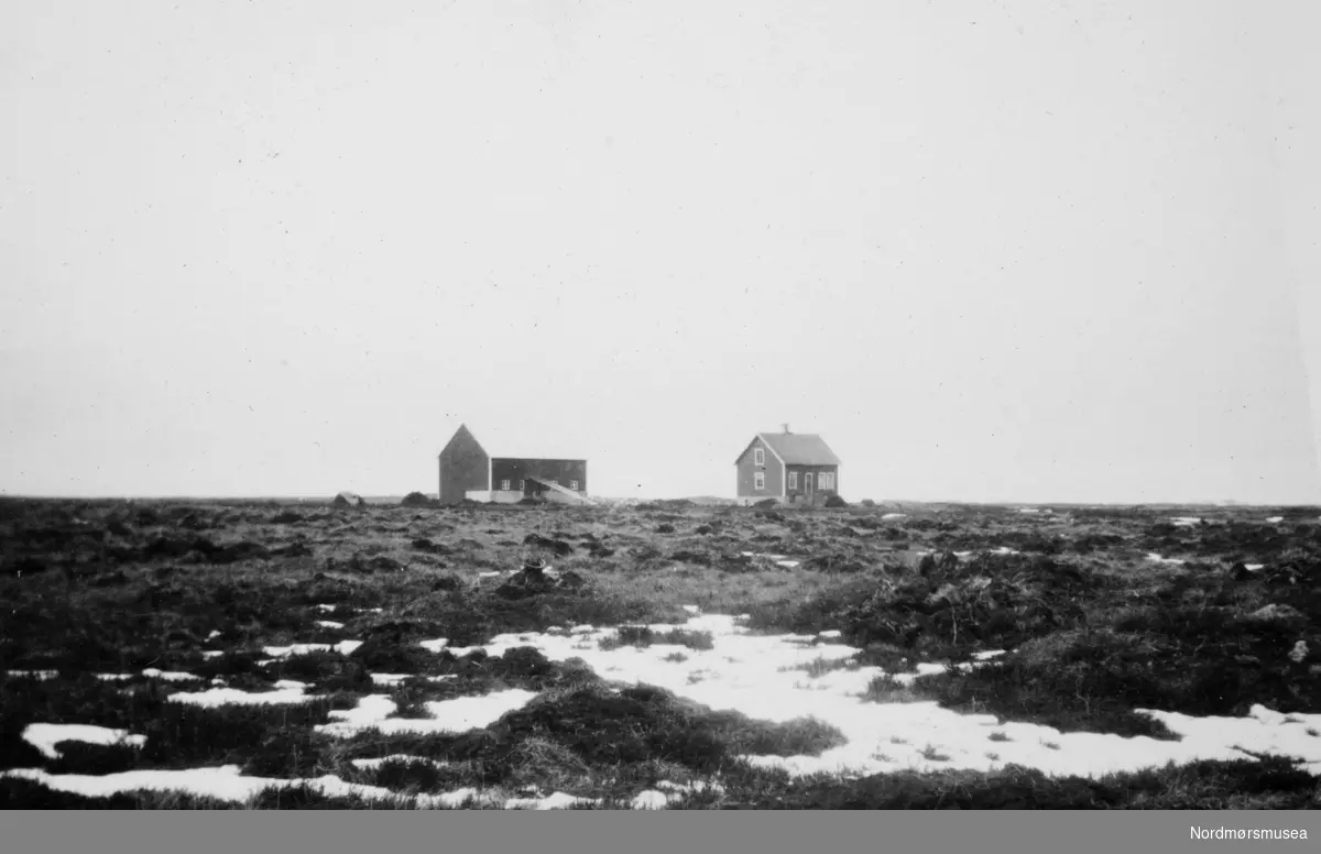 Nybrottsmark med et gårdsbruk i bakgrunnen. Et bilde fra en samling fotografier med nybrott- og bureisingsfelt i Norge. Originalmaterialet tilhører Norsk myrmuseum i Smøla kommune. Fra Nordmøre museums fotosamlinger.