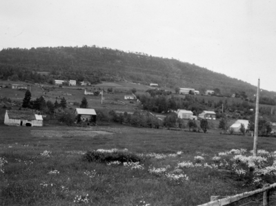 Foto fra ei ukjent bygd et sted i Norge. Et bilde fra en samling fotografier med nybrott- og bureisingsfelt i Norge. Originalmaterialet tilhører Norsk myrmuseum i Smøla kommune. Fra Nordmøre museums fotosamlinger.