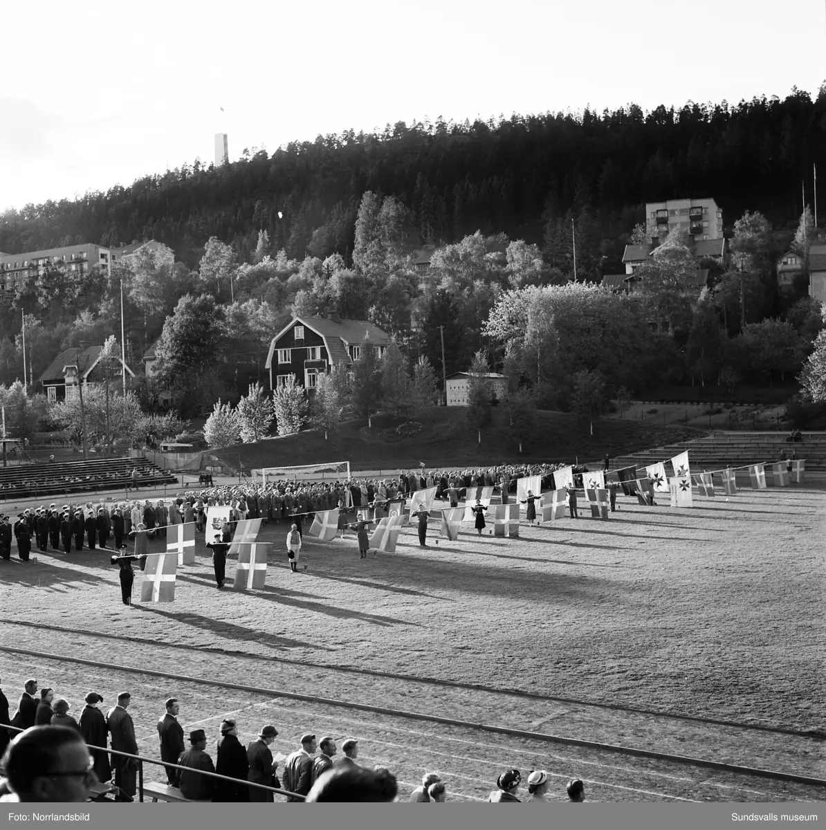 En stor serie bilder från firandet av Svenska flaggans dag 1956. Parad på Storbron med paradorkester, militär, scouter och mängder av olika föreningar och förbund. Därefter högtidlig uppställning i Idrottsparken med bland annat tal, körsång, gymnastikuppvisning och folkmusik.