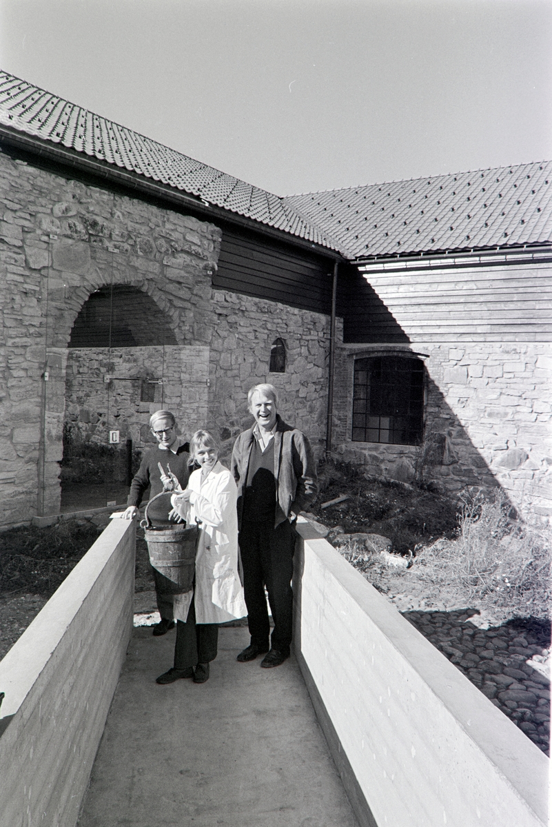Storhamarlåven, HDH.03. Eksteriør.Fylkeskonservator/Museumsbestyrer Per Martin Tvengsberg, Malerikonservator Gun Barbro Løken, Arkitekt Sverre Fehn, brønnbøtte. Borggården.