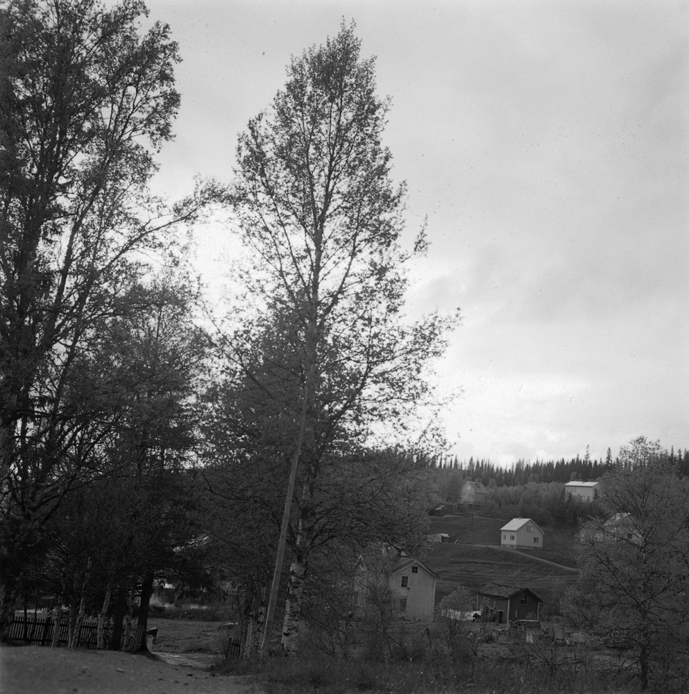 Hattfjelldal. I forbindelse med Hattfjelldal Kommunes 100 års jubileum sommeren 1962.