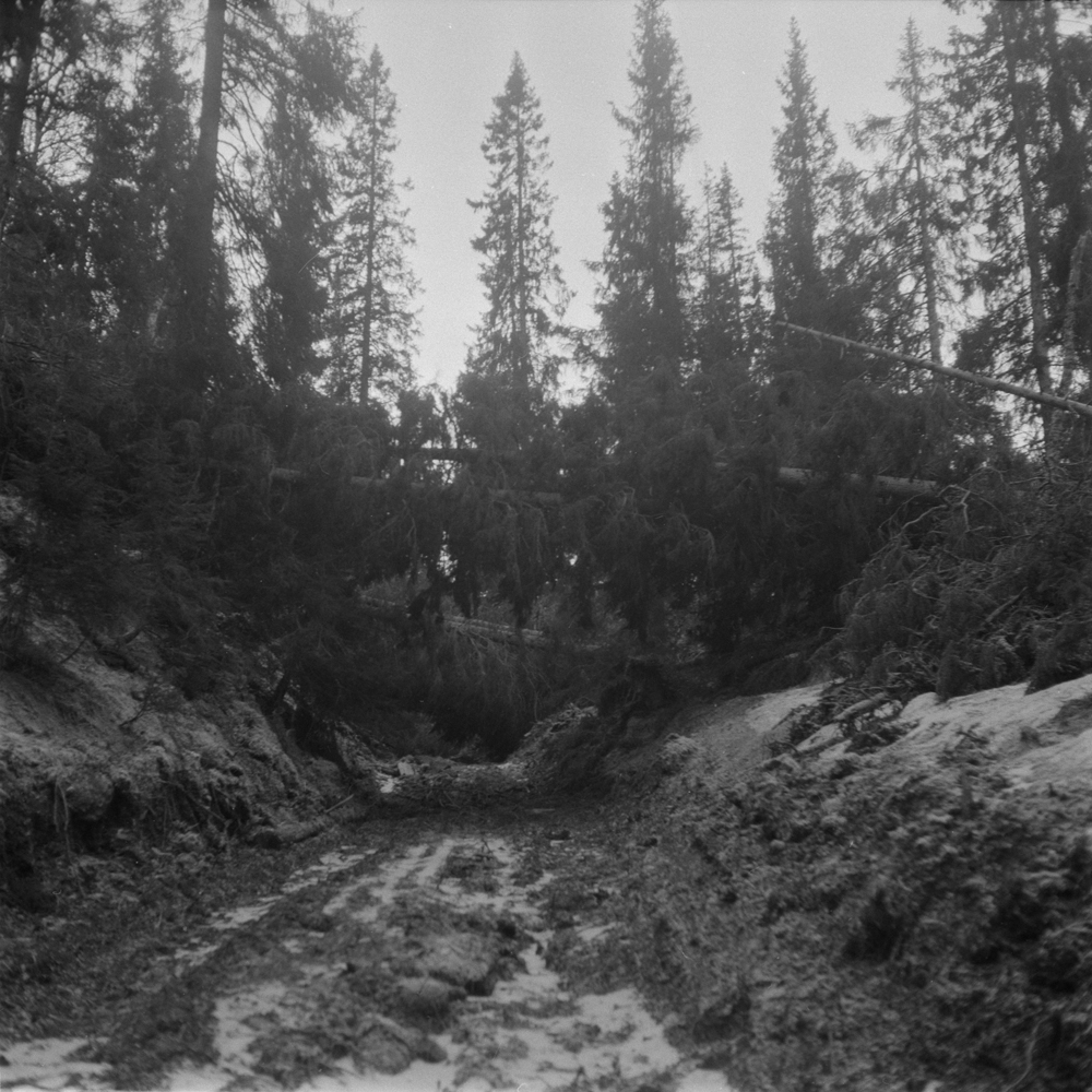 Befaring på Langjord i Bjørnådalen sammen med skogsassistent Roald Bjørnå og driftsplanlegger Arne Alterskjær. Etter skadene på skogen nyttårsaften 1973.