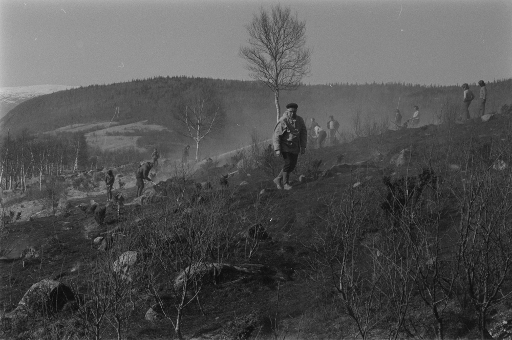 Grasbrann på Hals, slokkingsarbeid.