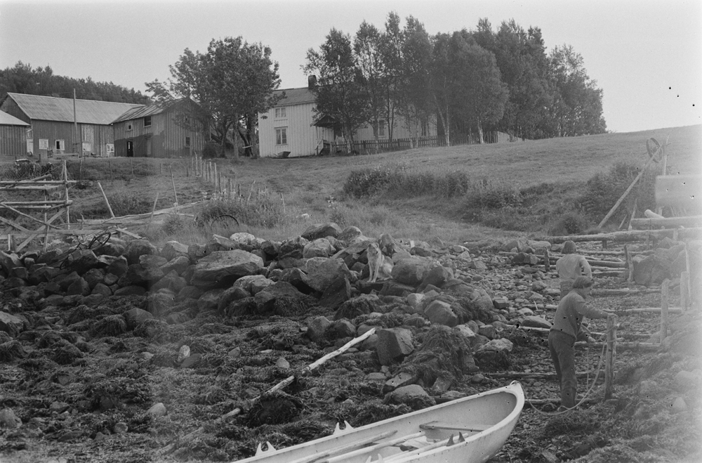 Bygderutebåten Heidar i Velfjord.
Bilde fra båten mot Drogsøya. Jonny Strand fester båten og sønnen Asbjørn bakerst.