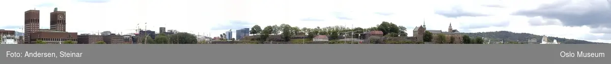 Panorama, utsikt, cruiseskip, havn, fjord, turistbåter, Rådhuset, Akershus Festning, Vippetangen, Sørenga, Ekebergåsen,