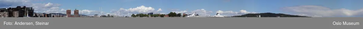 Panorama, utsikt, cruiseskip, havn, fjord, turistbåter, Rådhuset, Akershus Festning, Vippetangen, Sørenga, Ekebergåsen,