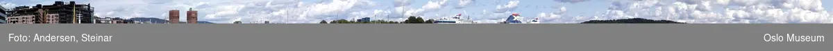 Panorama, utsikt, cruiseskip, havn, fjord, turistbåter, Rådhuset, Akershus Festning, Vippetangen, Sørenga, Ekebergåsen,