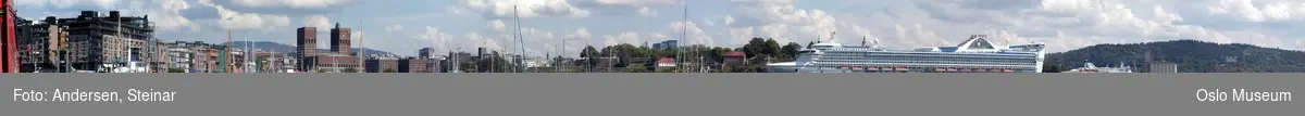 Panorama, utsikt, cruiseskip, havn, fjord, turistbåter, Rådhuset, Akershus Festning, Vippetangen, Sørenga, Ekebergåsen,