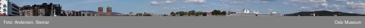 Panorama, utsikt, cruiseskip, havn, fjord, turistbåter, Rådhuset, Akershus Festning, Vippetangen, Sørenga, Ekebergåsen,