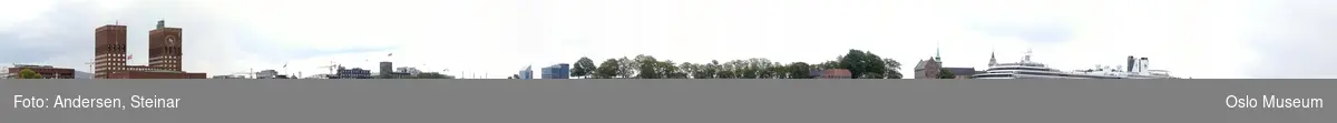 Panorama, utsikt, cruiseskip, havn, fjord, turistbåter, Rådhuset, Akershus Festning, Vippetangen, Sørenga, Ekebergåsen,