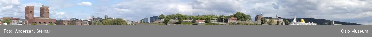 Panorama, utsikt, cruiseskip, havn, fjord, turistbåter, Rådhuset, Akershus Festning, Vippetangen, Sørenga, Ekebergåsen,