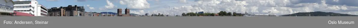Panorama, utsikt, cruiseskip, havn, fjord, turistbåter, Rådhuset, Akershus Festning, Vippetangen, Sørenga, Ekebergåsen,