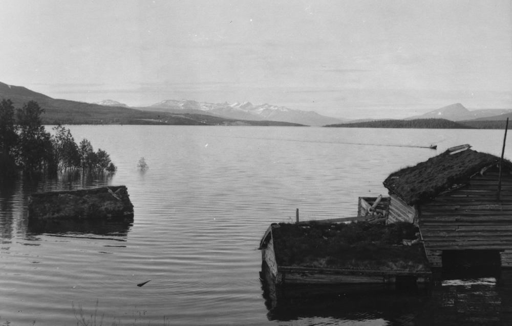 Under oppdemminga av Røssvatnet, gård/bygninger i Sjåvika.