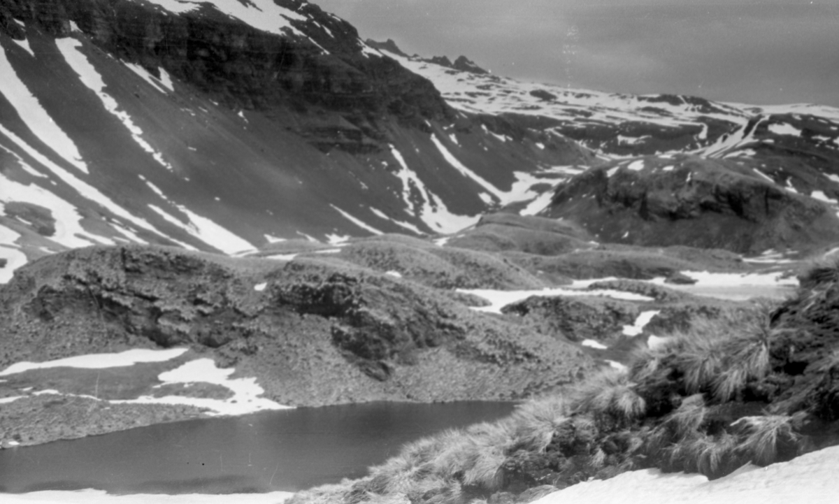 Landskap. Dal med snø.. Suderøy på vei til fangstfeltet.