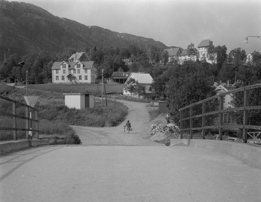 Oversikt mot Toppen, fra jernbaneovergangen/brua på Halsøy.