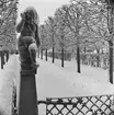 Vinter på Skansen. Parken vid Skogaholms herrgård. Putto på grindstolpe.