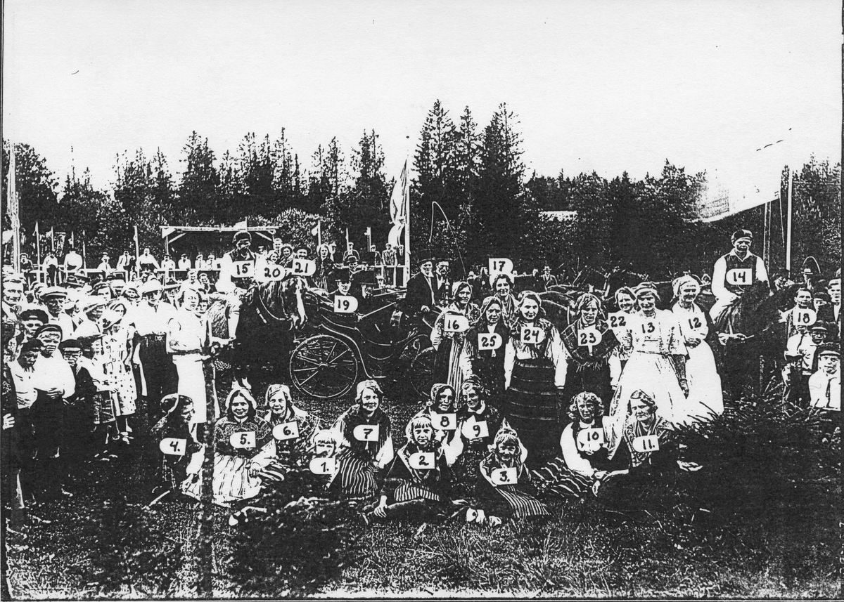 Hembygdsfest på Vifors festplats.