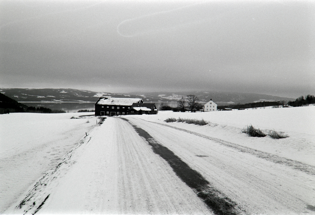 Viker gård, Jessnes, landskap, vinter.