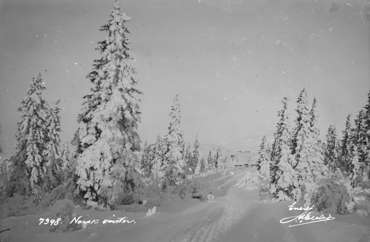 Ringebu. Vinter i Trabelia.