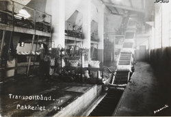 Transportbånd, pakkeriet