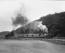 YEJ persontåg
(Ystad - Eslöv Järnväg)
Vid järnvägsspåret mellan Ystad - Tomelilla
I början av 1940-talet förstatligades både YEJ och MSJ och de amerikanska ångloken fick littera B2 hos SJ.