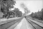 Ånimskog station.