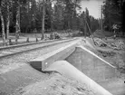 Vägkorsning och vägport