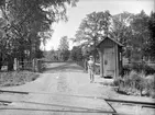 Vägkorsning