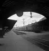 Statens Järnvägar, SJ Dk 546 1035, tillverkningsår 1942. Tåg vid Stockholms centralstation, 87:ans avgång.