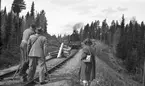 Filminspelning med SJ Driftvärn.  SJ E10 1743.  E10 är litterat på ett svenskt trecylindrigt ånglok. Loken tillverkades av ASJ i Falun under perioden 1947-1948. SJ Driftvärn bildades 1946 och hade till uppgift att skydda viktiga anläggningar vid beredskap och krig. Driftvärnen lades ner 2005.